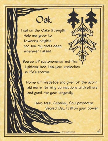 (image for) Oak - Click Image to Close