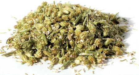 (image for) Yarrow Flower 1oz