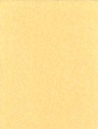 (image for) 5pk 8 1/2"x11" light parchment